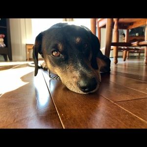 Meet your Posher, Cece